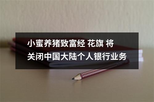 小蜜养猪致富经 花旗 将关闭中国大陆个人银行业务
