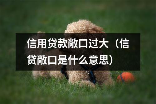 信用贷款敞口过大（信贷敞口是什么意思）