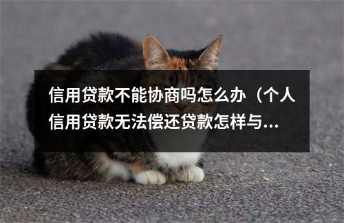 信用贷款不能协商吗怎么办（个人信用贷款无法偿还贷款怎样与银行协商）