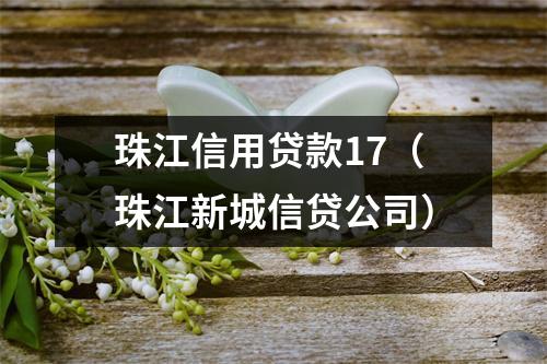珠江信用贷款17（珠江新城信贷公司）