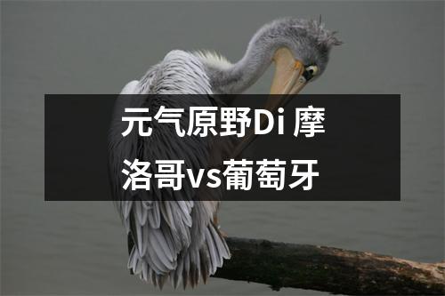 元气原野Di 摩洛哥vs葡萄牙