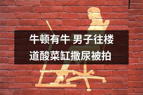 牛顿有牛 男子往楼道酸菜缸撒尿被拍