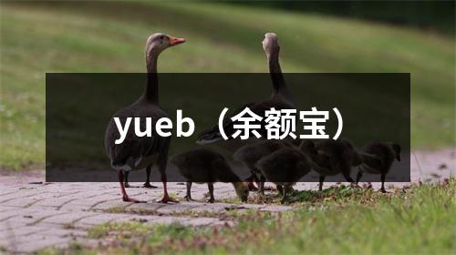 yueb（余额宝）