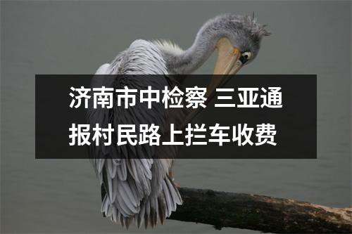 济南市中检察 三亚通报村民路上拦车收费