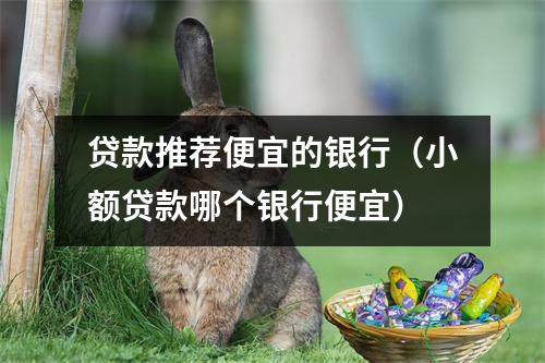 贷款推荐便宜的银行（小额贷款哪个银行便宜）