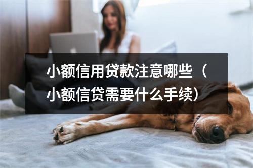 小额信用贷款注意哪些（小额信贷需要什么手续）