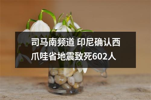 司马南频道 印尼确认西爪哇省地震致死602人