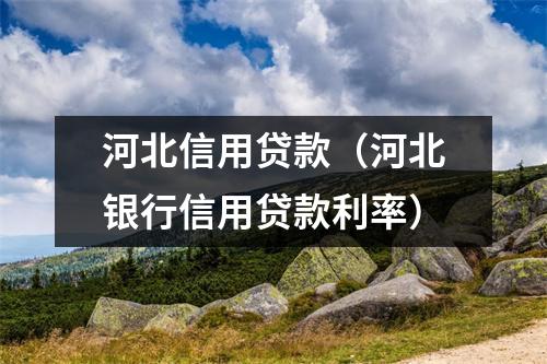 河北信用贷款（河北银行信用贷款利率）