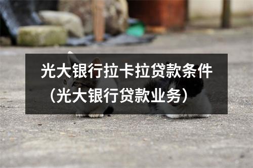 光大银行拉卡拉贷款条件（光大银行贷款业务）