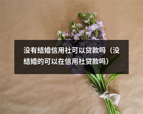 没有结婚信用社可以贷款吗（没结婚的可以在信用社贷款吗）