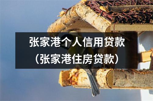 张家港个人信用贷款（张家港住房贷款）