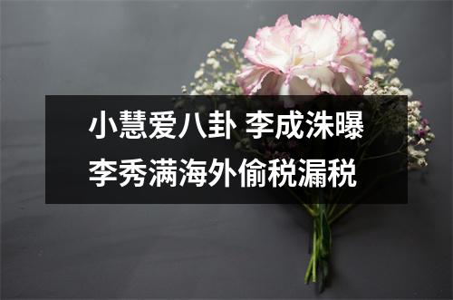 小慧爱八卦 李成洙曝李秀满海外偷税漏税