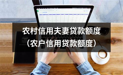 农村信用夫妻贷款额度（农户信用贷款额度）