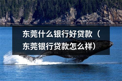 东莞什么银行好贷款(东莞银行贷款怎么样)