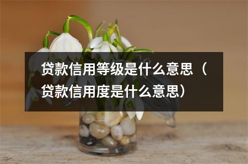 贷款信用等级是什么意思（贷款信用度是什么意思）