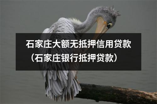 石家庄大额无抵押信用贷款（石家庄银行抵押贷款）