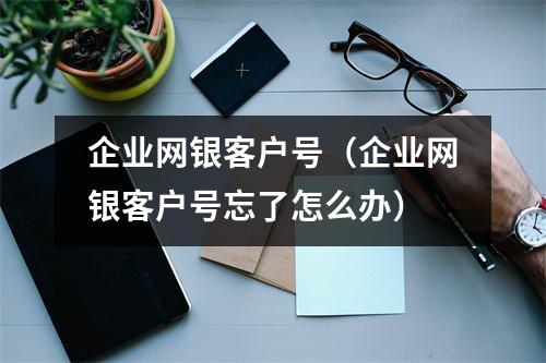 企业网银客户号（企业网银客户号忘了怎么办）