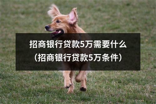 招商银行贷款5万需要什么（招商银行贷款5万条件）