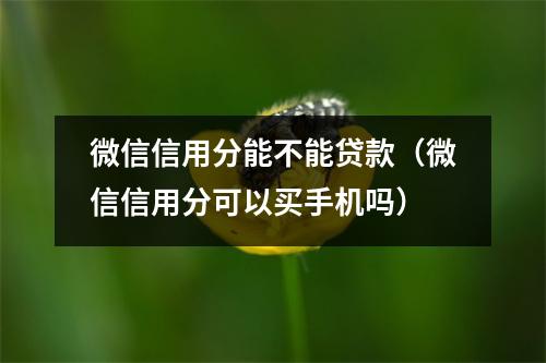 微信信用分能不能贷款（微信信用分可以买手机吗）