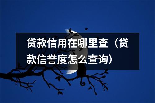 贷款信用在哪里查(贷款信誉度怎么查询)