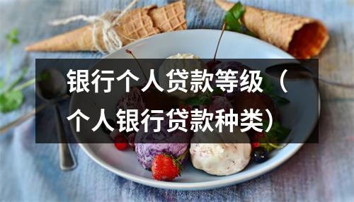 银行个人贷款等级（个人银行贷款种类）
