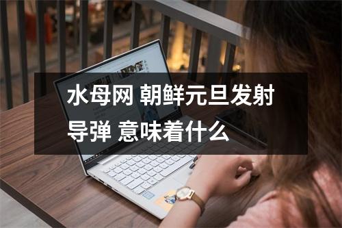 水母网 朝鲜元旦发射导弹 意味着什么 