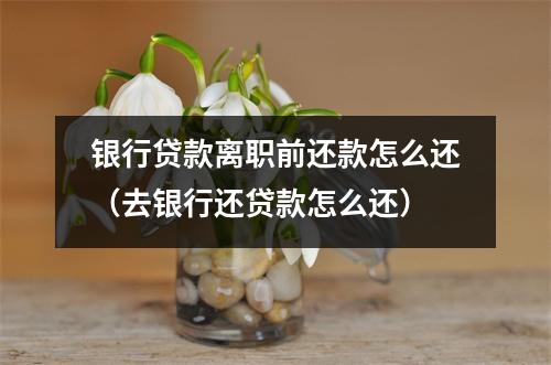 银行贷款离职前还款怎么还（去银行还贷款怎么还）