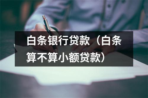 白条银行贷款（白条算不算小额贷款）