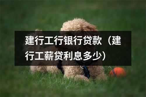 建行工行银行贷款(建行工薪贷利息多少)