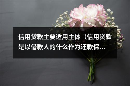 信用贷款主要适用主体（信用贷款是以借款人的什么作为还款保证的一种贷款方式）