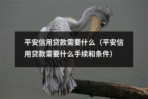 平安信用贷款需要什么（平安信用贷款需要什么手续和条件）