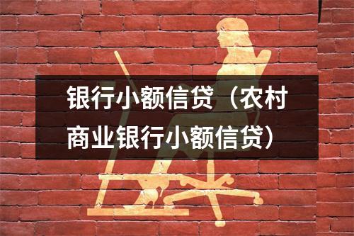 银行小额信贷（农村商业银行小额信贷）