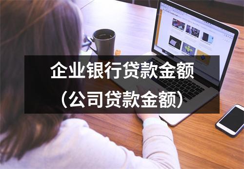 企业银行贷款金额（公司贷款金额）
