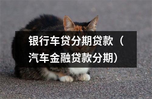 银行车贷分期贷款（汽车金融贷款分期）