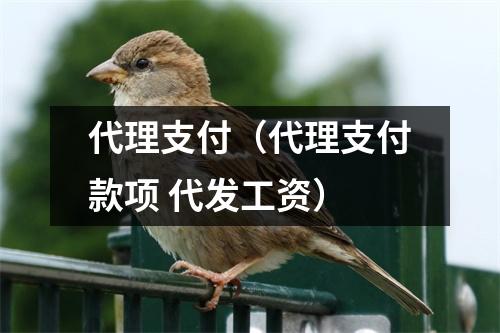 代理支付（代理支付款项 代发工资）