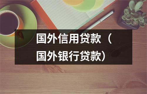 国外信用贷款（国外银行贷款）
