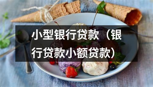 小型银行贷款（银行贷款小额贷款）
