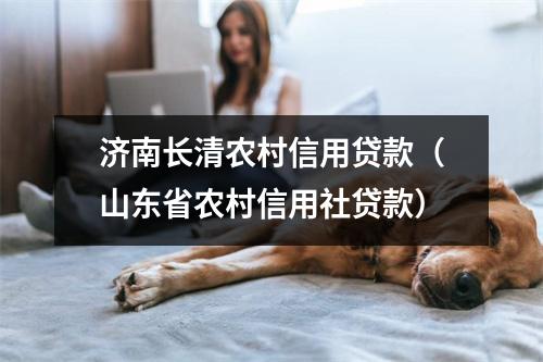 济南长清农村信用贷款（山东省农村信用社贷款）