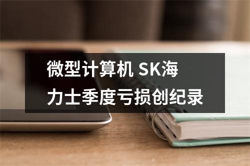 微型计算机 SK海力士季度亏损创纪录
