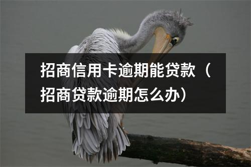 招商信用卡逾期能贷款(招商贷款逾期怎么办)