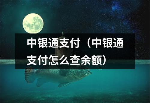 中银通支付（中银通支付怎么查余额）