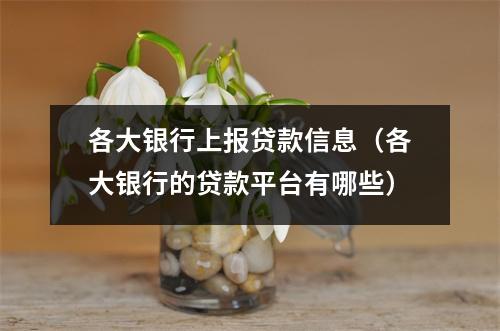 各大银行上报贷款信息（各大银行的贷款平台有哪些）