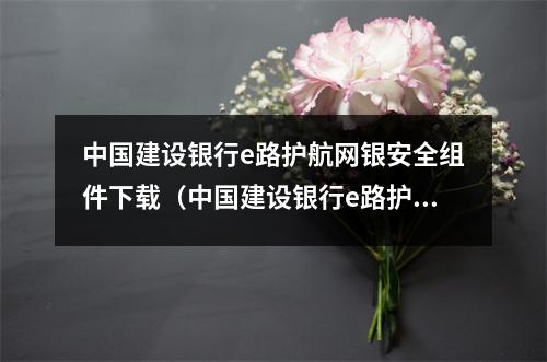 中国建设银行e路护航网银安全组件下载(中国建设银行e路护航网银安全组件安装失败)
