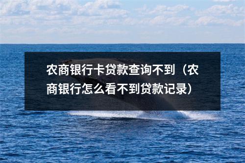 农商银行卡贷款查询不到（农商银行怎么看不到贷款记录）