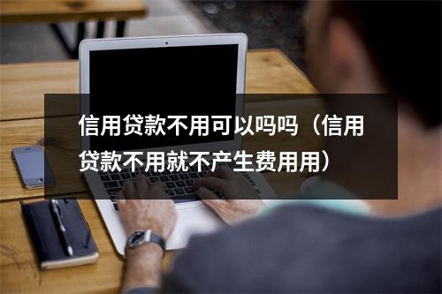 信用贷款不用可以吗吗（信用贷款不用就不产生费用用）