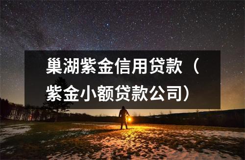 巢湖紫金信用贷款（紫金小额贷款公司）