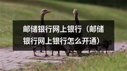 邮储银行网上银行（邮储银行网上银行怎么开通）