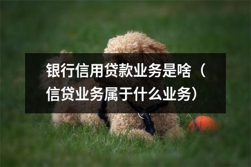 银行信用贷款业务是啥（信贷业务属于什么业务）