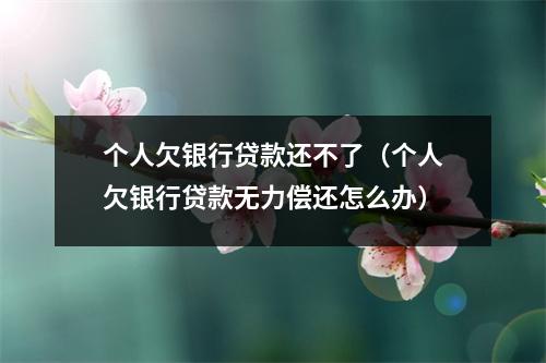 个人欠银行贷款还不了（个人欠银行贷款无力偿还怎么办）