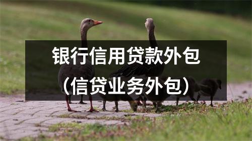 银行信用贷款外包（信贷业务外包）